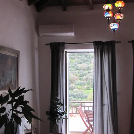 Velanidia Homestay アパート *